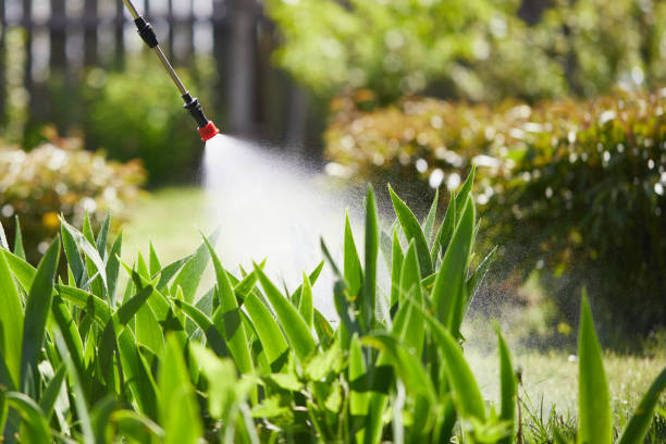24/7 Emergency Mosquito Control experts in Upper Pohatcong, NJ