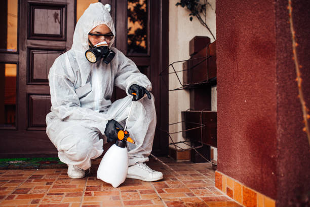 Reliable Mosquito Control contractor in Upper Pohatcong, NJ by Show Me Pest Control